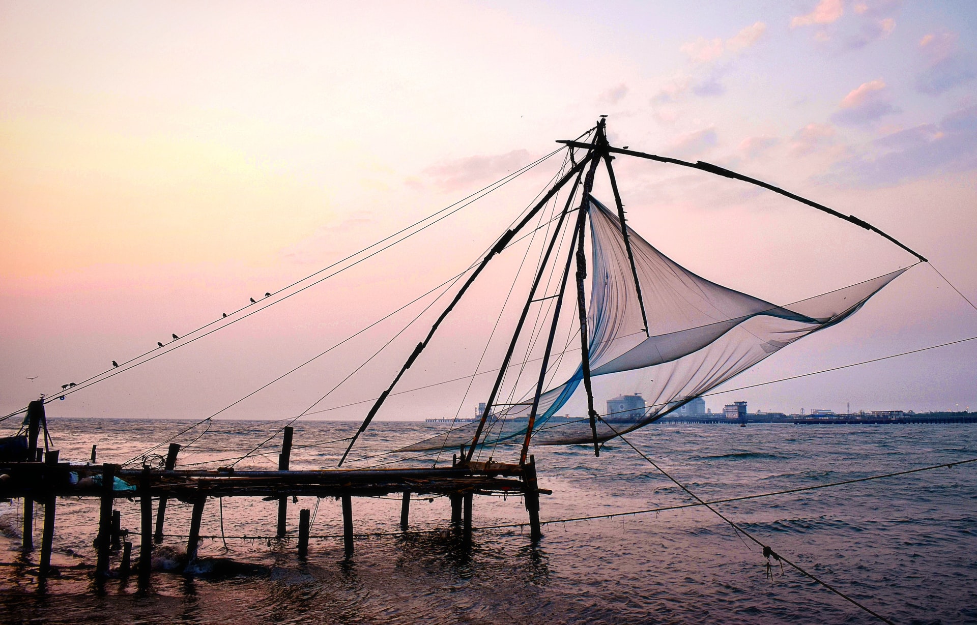 An image of Kochi